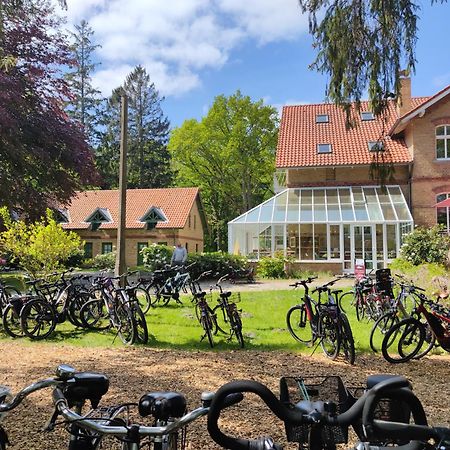 Hotel Schloesschen Sundische Wiese Zingst Kültér fotó