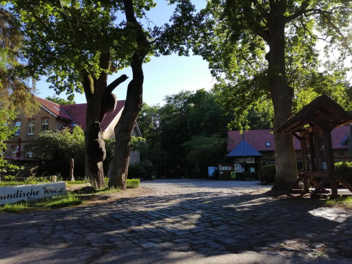 Hotel Schloesschen Sundische Wiese Zingst Kültér fotó