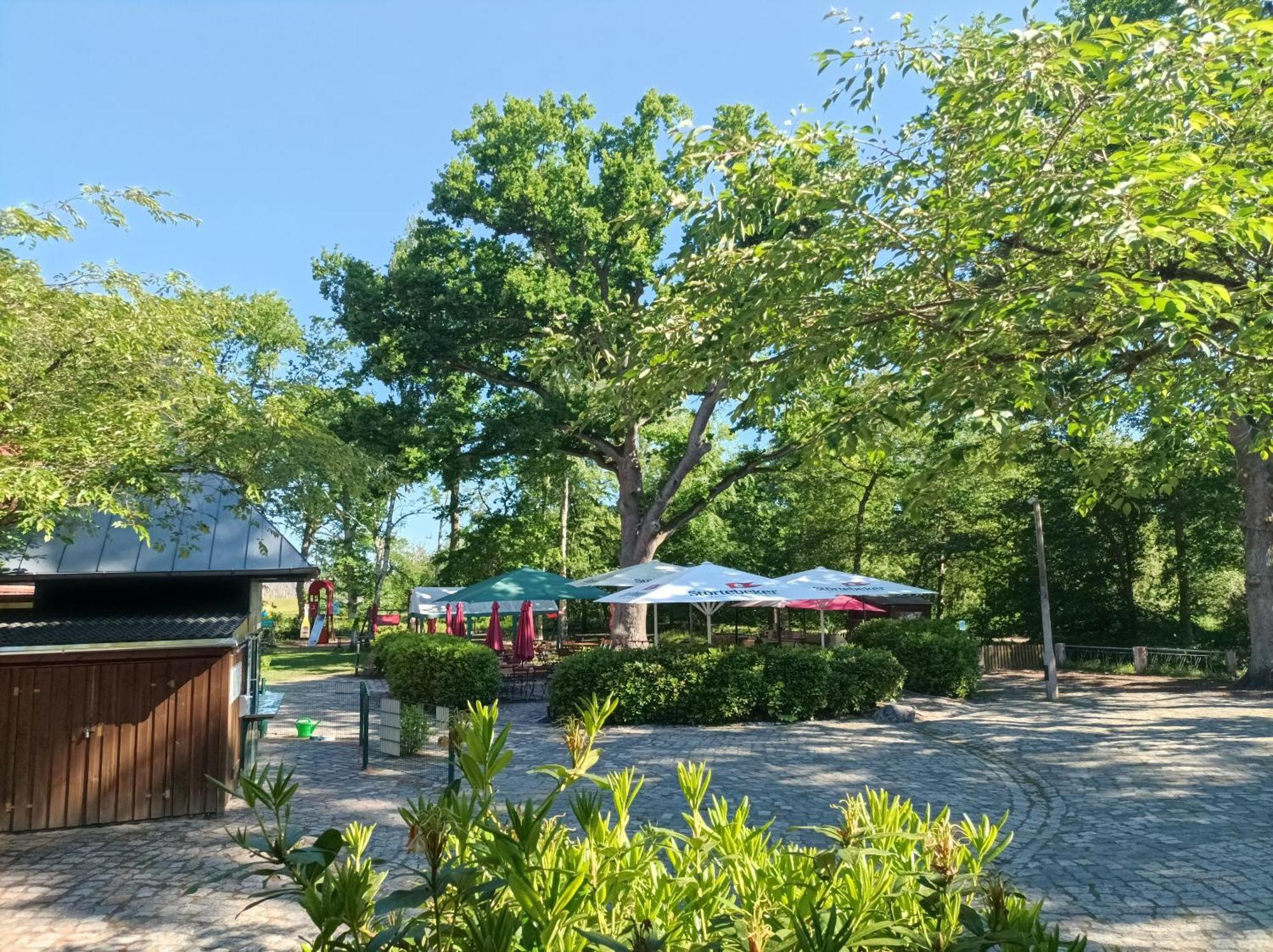 Hotel Schloesschen Sundische Wiese Zingst Kültér fotó