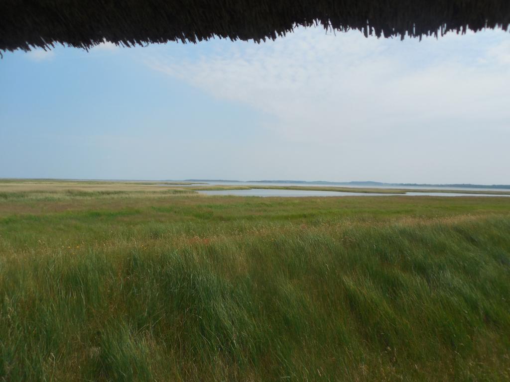 Hotel Schloesschen Sundische Wiese Zingst Kültér fotó